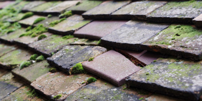 Oxton roof repair costs